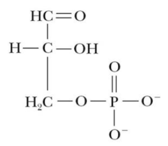 <p>Name that structure.</p>