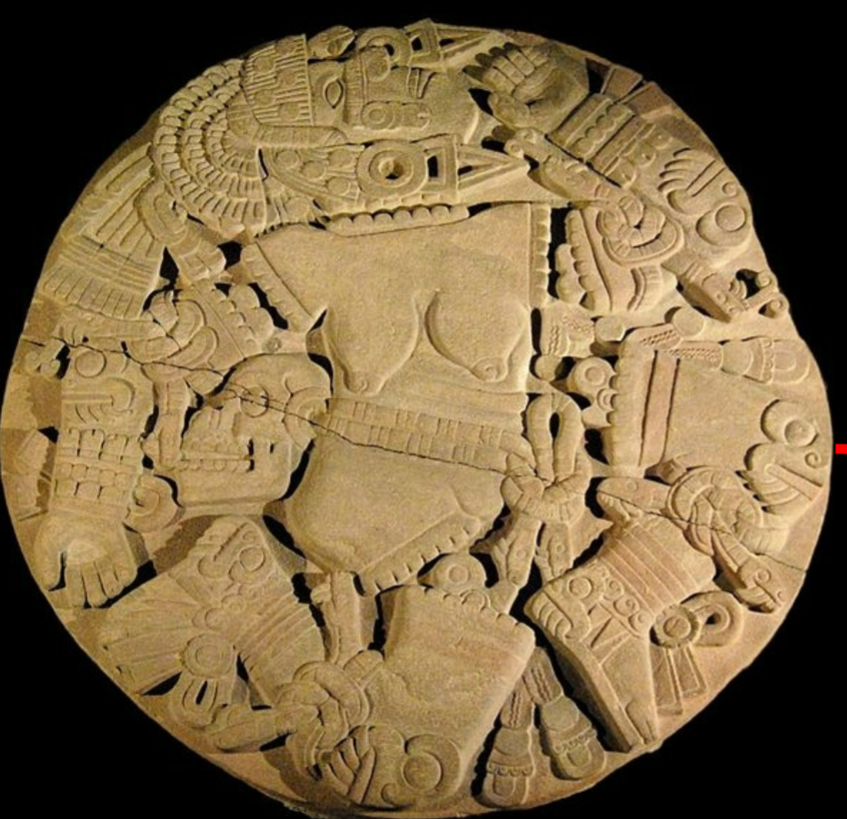 <p>Coyol Stone</p>