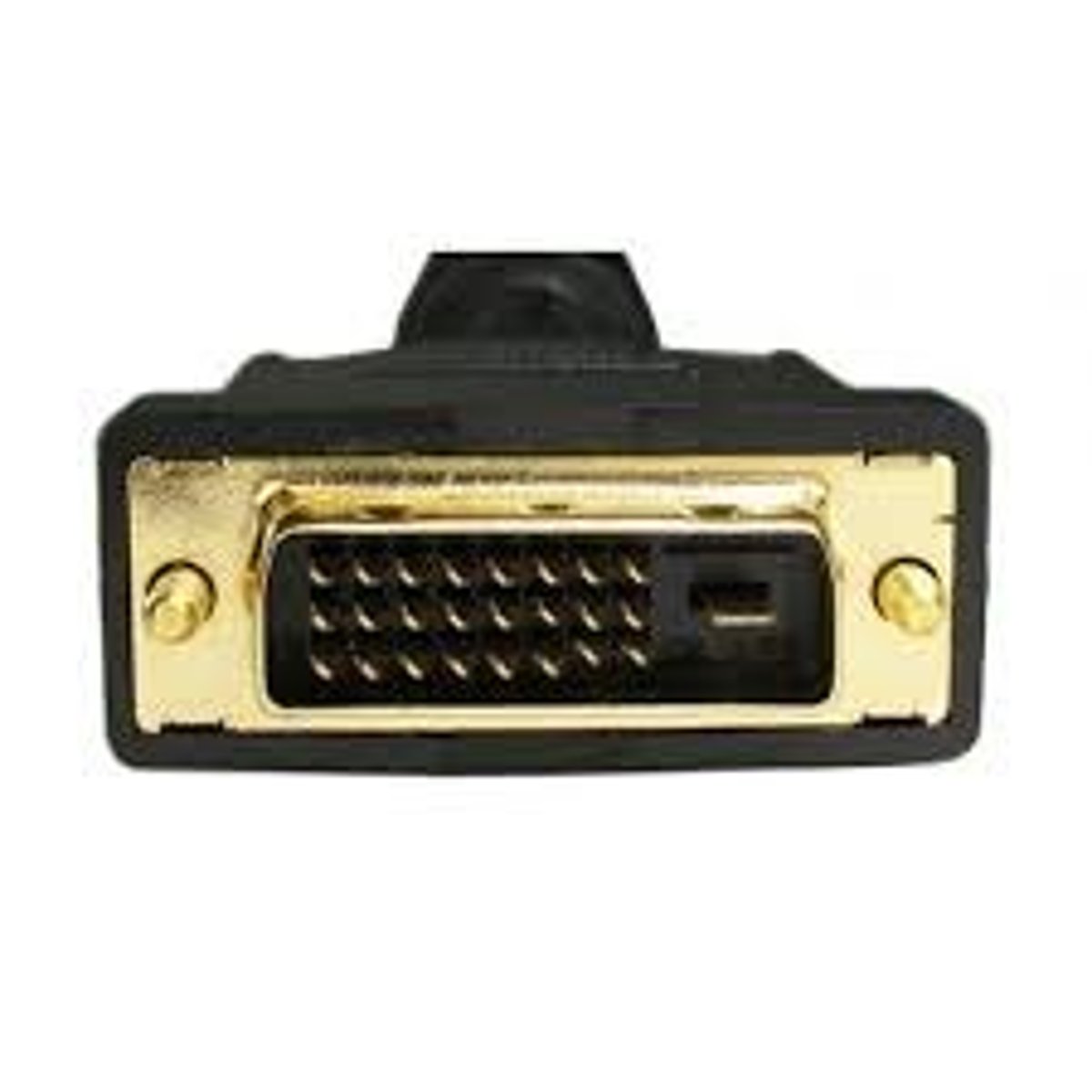 <p>A DVI (Digital Visual Interface) video port that works only with digital monitors.</p>