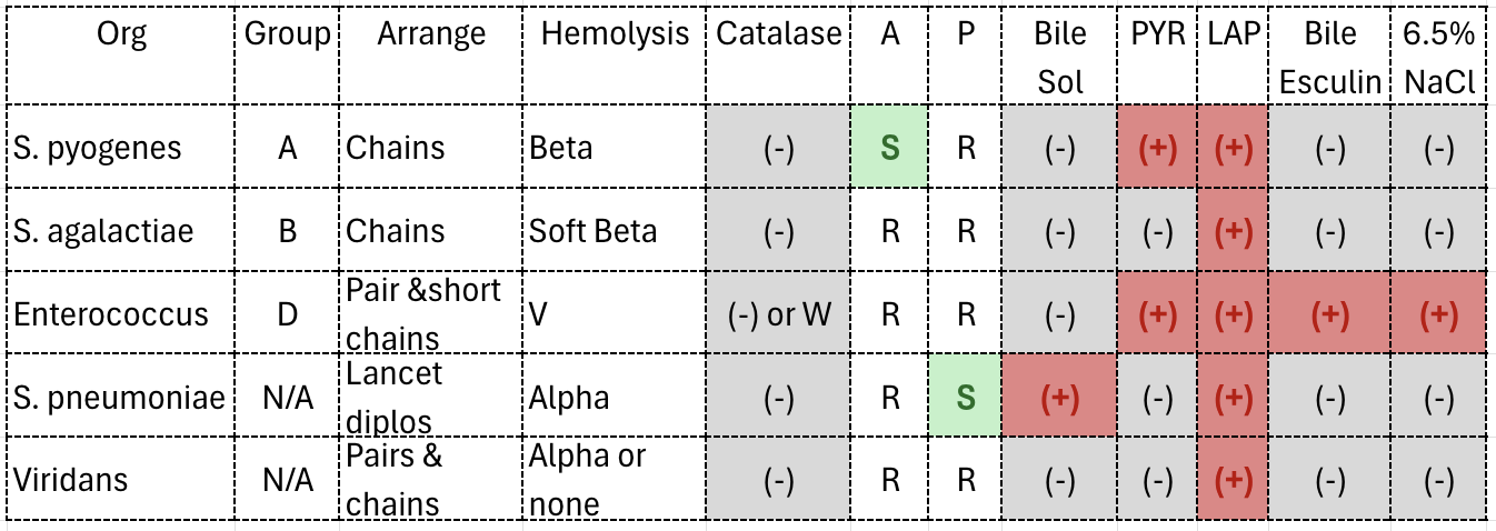 <p>A=Bactiracin</p><p>P=Optochin</p>