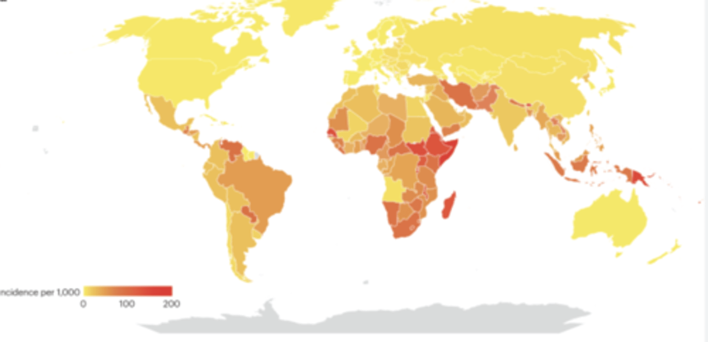 <p>Endémique : Région tropicale </p><p>Espèces les + rencontrés : S.Dysenteriae ou flexneri</p><p>France : rare, 1% des infections intestinales </p><p>+++++ S.Sonnei > flexneri >>>>>>> Boydi > Dysenteriae</p><p>2 pics d'incidence : </p><p>0-9 ans et 20-49 ans </p>