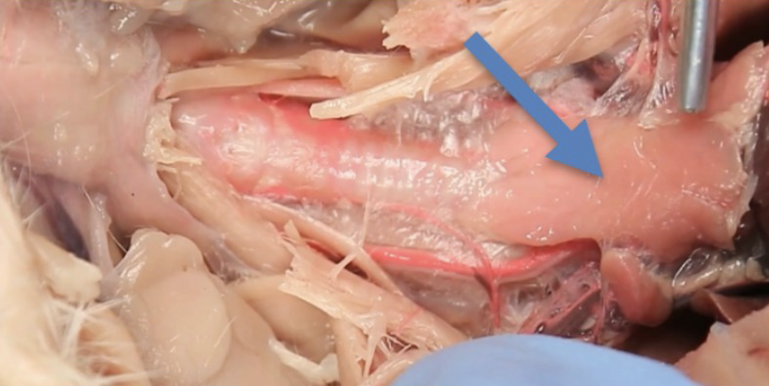 <p>What is this?</p>