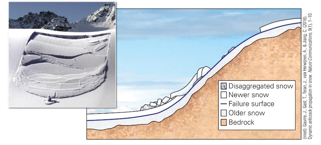 <ul><li><p>involves detachment of blocks of snow</p></li><li><p>most common</p></li><li><p>contain greater vol of snow than powder avalanches n there is a high probability for burial</p></li></ul>