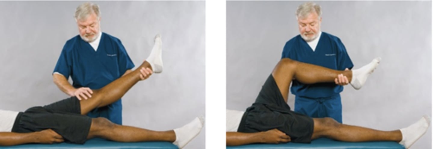 <p>Assessment for:</p><p>- Gluteal bursitis</p><p>- Tumor</p><p>- Abscess</p>