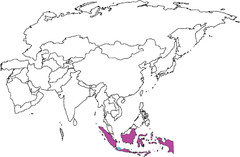 <p>Europeans&apos; name for the Moluccas, islands rich in cloves and nutmeg - highly valued spices often traded in the Indian Ocean trade network</p>