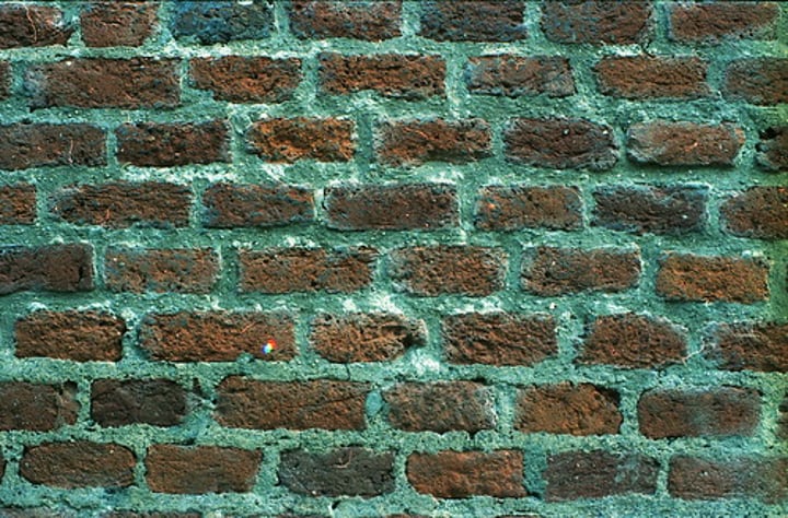 <p>wall</p>