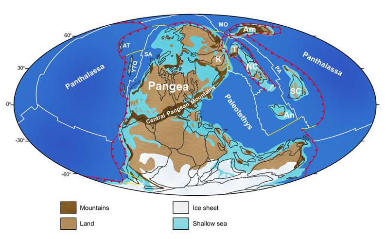 <p>Carboniferous Period</p>
