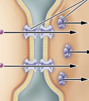 <p>what type of junction is this?</p>