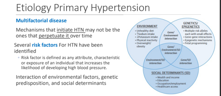 <ol><li><p>Environmental factors</p></li><li><p>Genetic predisposition </p></li><li><p>Social determinants </p></li></ol><p></p>