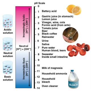 <p>pH scale</p>
