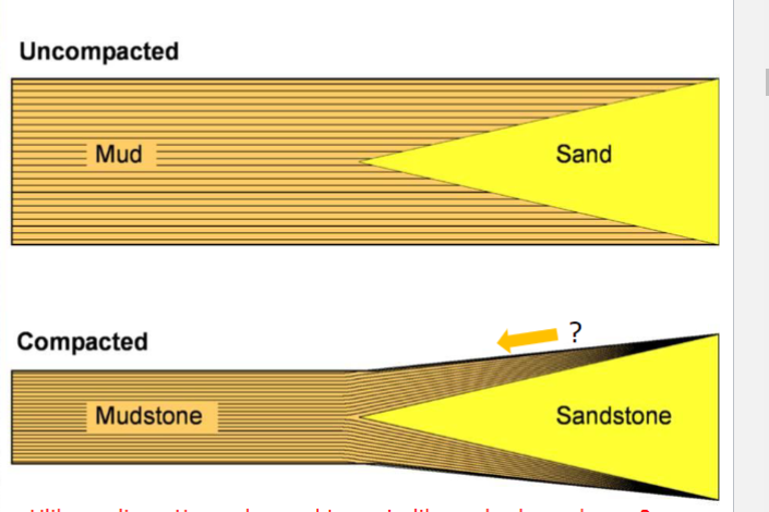 Der kvar det er ein lateral endring i sedimenttype skjer det ein differensiell kompaksjon ved at ulike sedimenttyper kompakteres i ulik grad. Mud har vanligvis større vanninhald og kompakteres derfor meir enn sand. Kompaksjo opptrer i alle skala