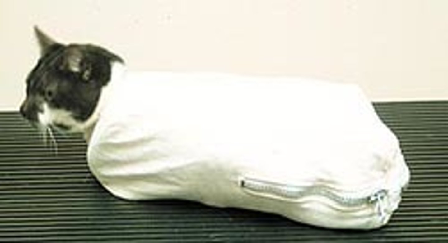 <p>A restraint device designed to enclose a cat's body while providing access to treatment sites</p>