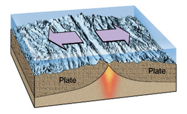 <p>Place where two tectonic plates move away from each other</p>