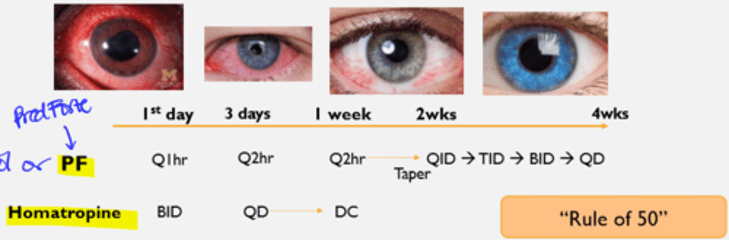 <p>Durazol = 2x stronger than Pred Forte</p><p>- Durazol faster resolution of uveitis so it is good for patients with poor compliance, but IOP increase faster</p><p>- Can cut dosage up to half</p><p>- Insurance may not cover it or not available readily on shelf</p><p>- Durazol or Pred Forte vs. Homatropine taper schedule</p>