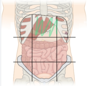 <p>what is the region shaded called?</p>