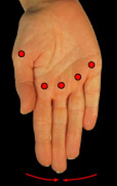 <p>Which synovial joint movement is:</p><ul><li><p>Moves toward midline</p></li></ul><p></p>