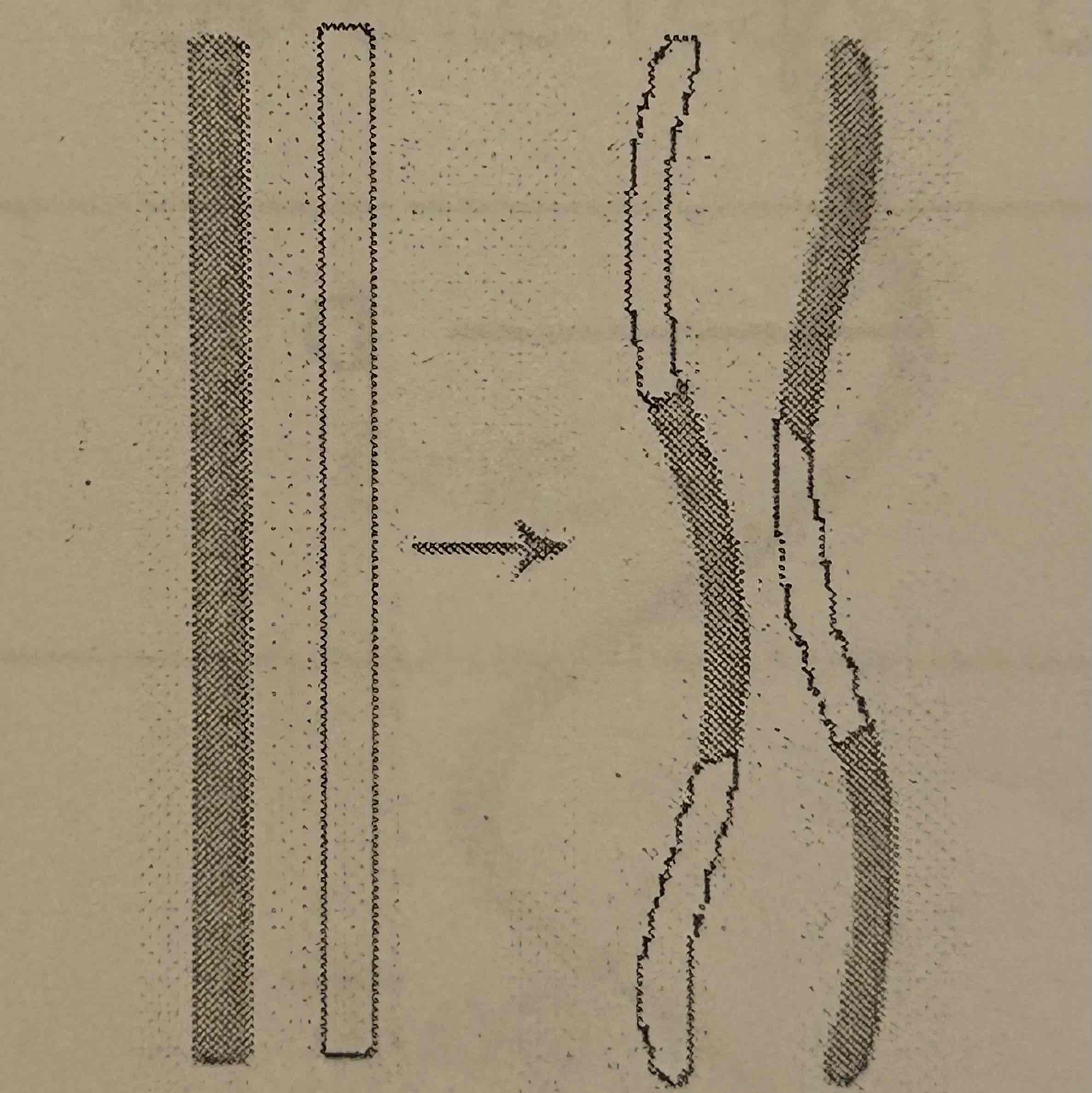<p>Which process is illustrated in the diagram below? </p><p> A. Crossing over <br>B. Independent assortment <br>C. Oogenesis <br>D. Spermatogenesis</p>
