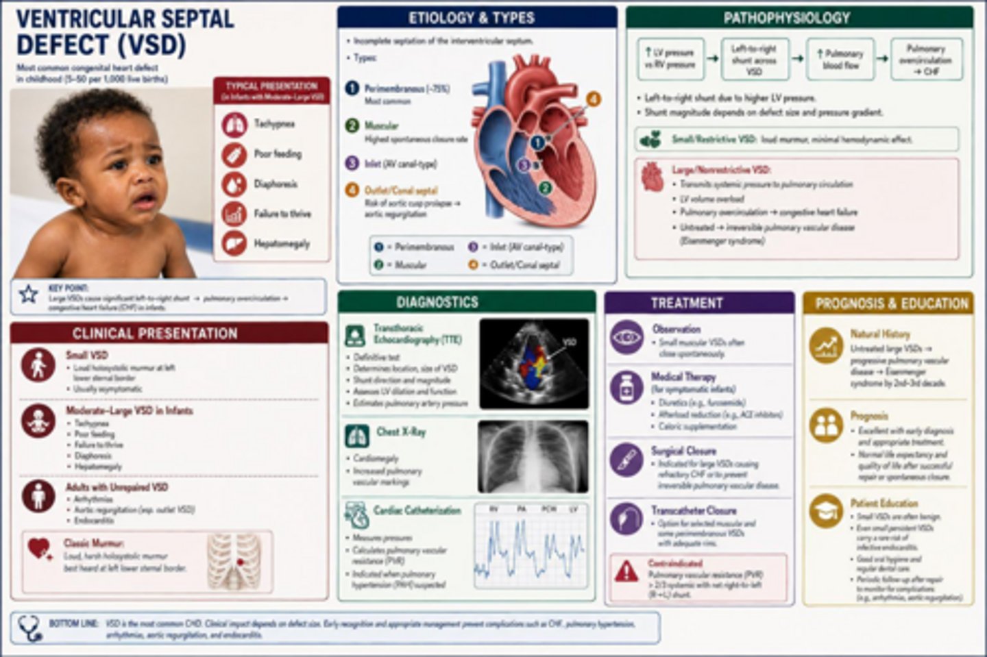 <p>Pulmonary overcirculation, RV volume overload, and potential heart failure.</p>