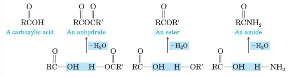 <ul><li><p>3 classes of compounds derived from carboxylic acids&nbsp;</p></li><li><p>each is related to a carboxyl group by loss of H2O</p></li></ul><p></p>