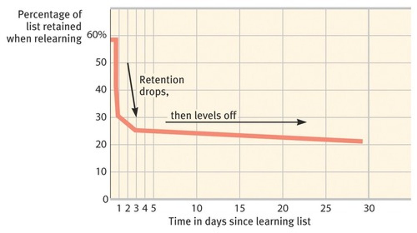 <p>A measure of memory that assesses the amount of time saved when learning material for a second time.</p>