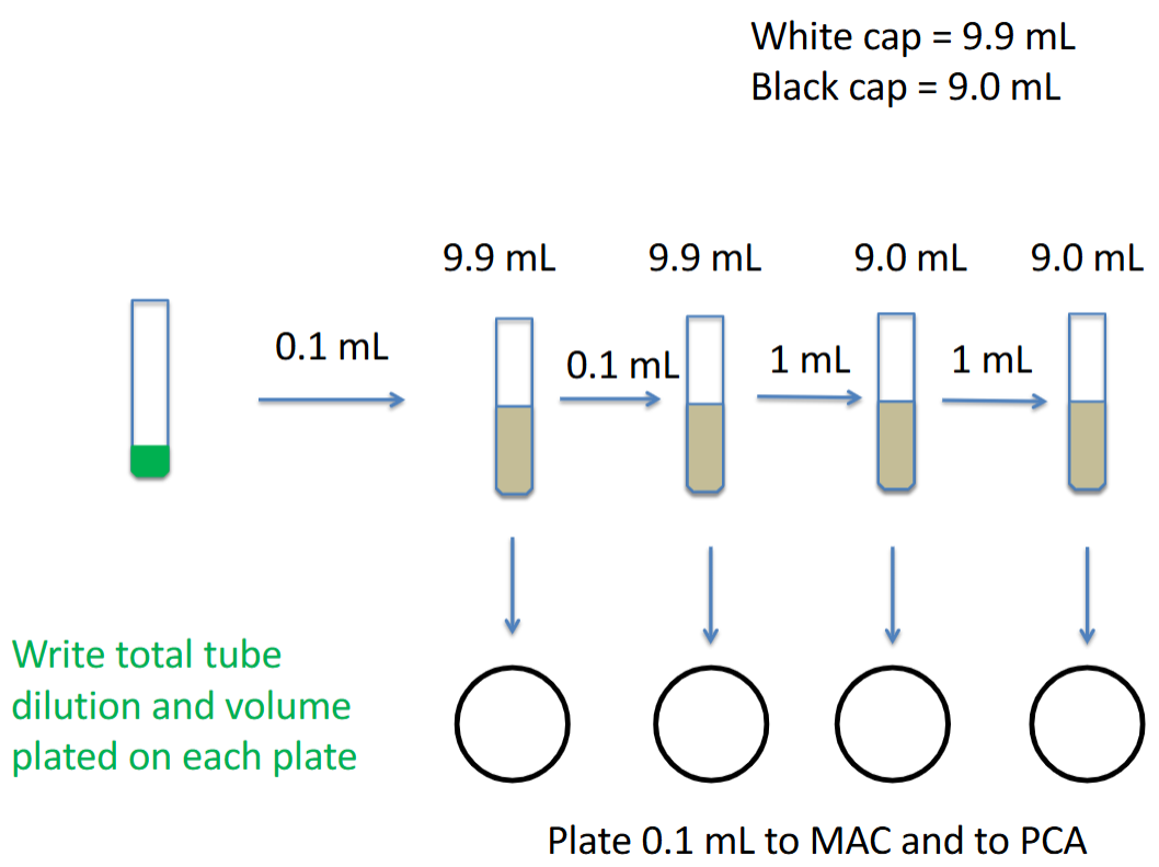 <ul><li><p>get a sample of pulverized food and vortex it before using it</p></li><li><p>do viable plate counts to determine CFU/ml </p></li><li><p>(# colonies x dilution factor ) / (volume plated ml) = CFU/ml</p></li><li><p>sample contains unknown microbes </p></li><li><p>using PCA and MAC plates </p></li></ul><p></p>