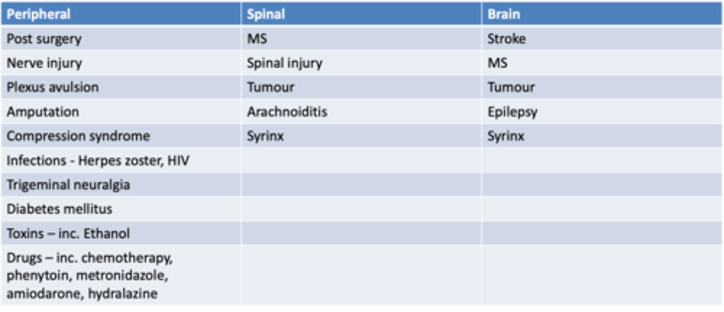 <p>3 areas - peripheral, spinal, or brain. Study table.</p>
