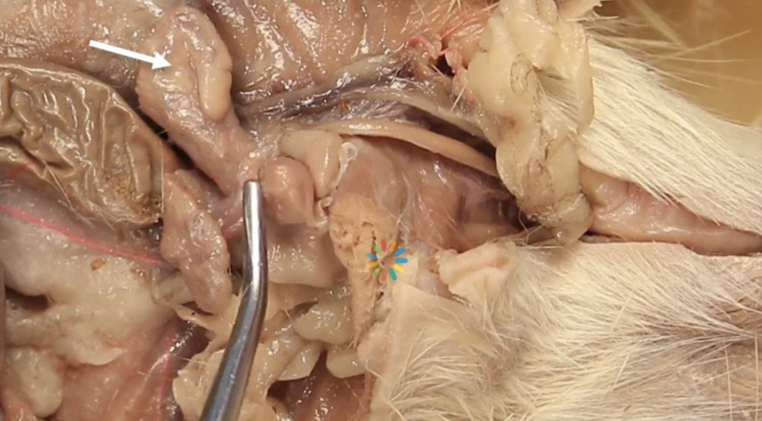 <p>What is this?</p>