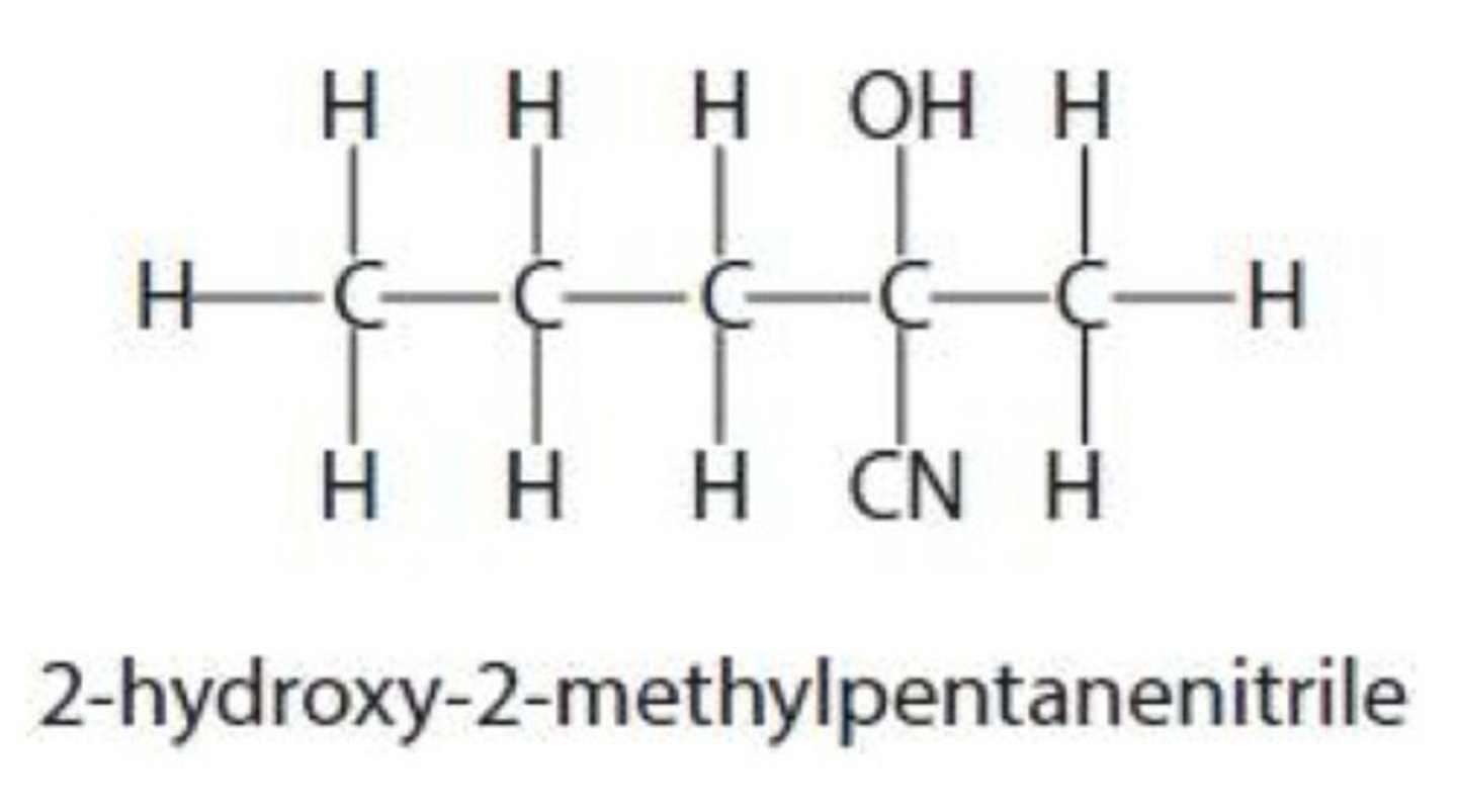 <p>- planar about carbonyl carbon</p><p>- so CN nucleophile attacks from either side of the plane</p>