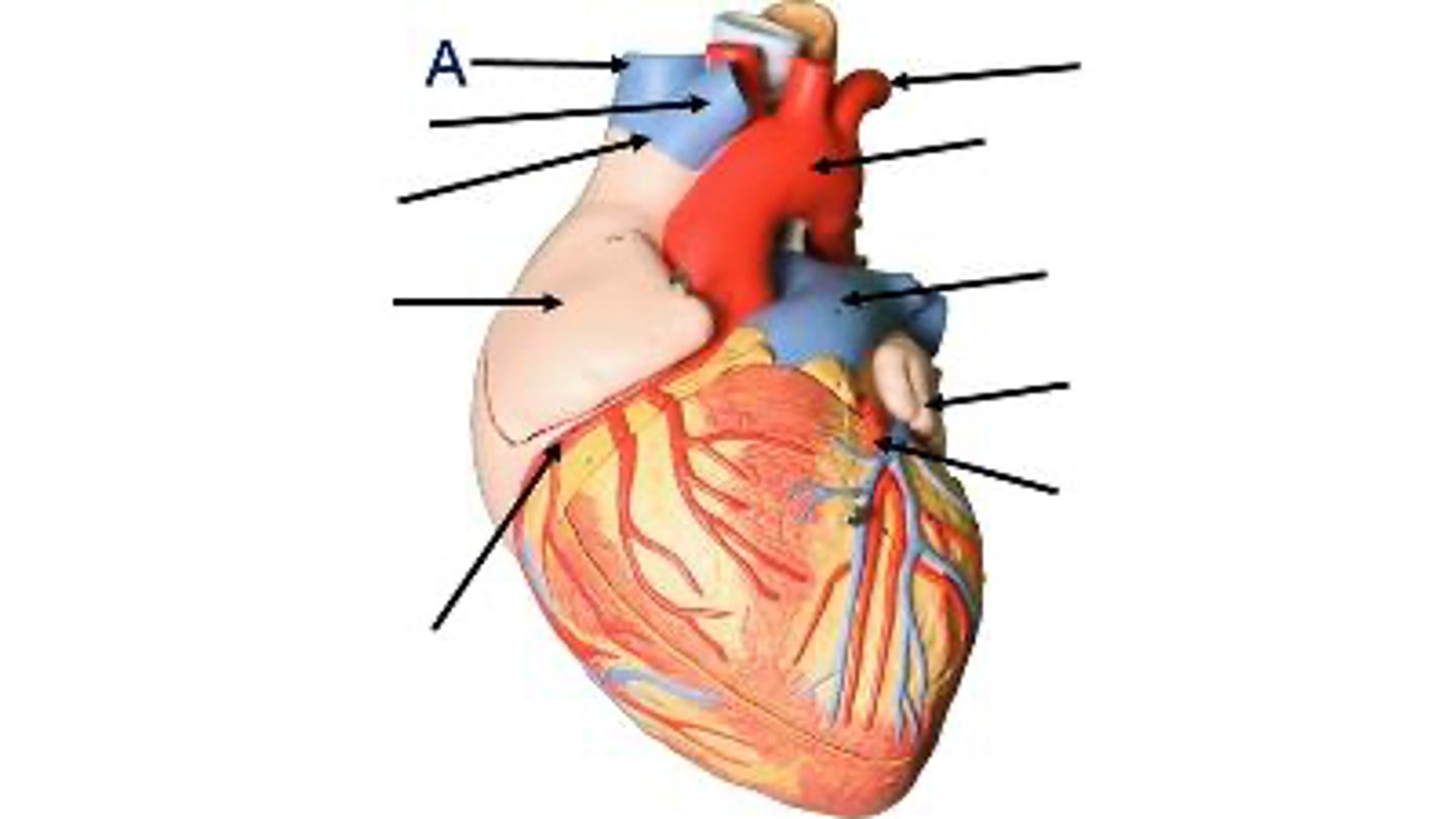 <p>What is this?</p>