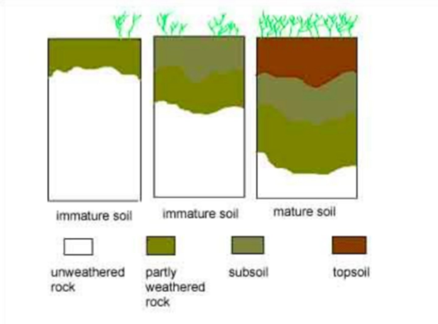 <p>soil development stages:</p><p>1. from below: physical breakdown of rocks and primary materials (newly exposed minerals) provide ___ ____</p><p>2. from above: deposition of ____ ____ from dead organisms and their waste</p><p>3. ___ ___ has more organic material and more nutrients</p><p>4. very old soils may be ___ ___ due to plants and water leaching nutrients</p>