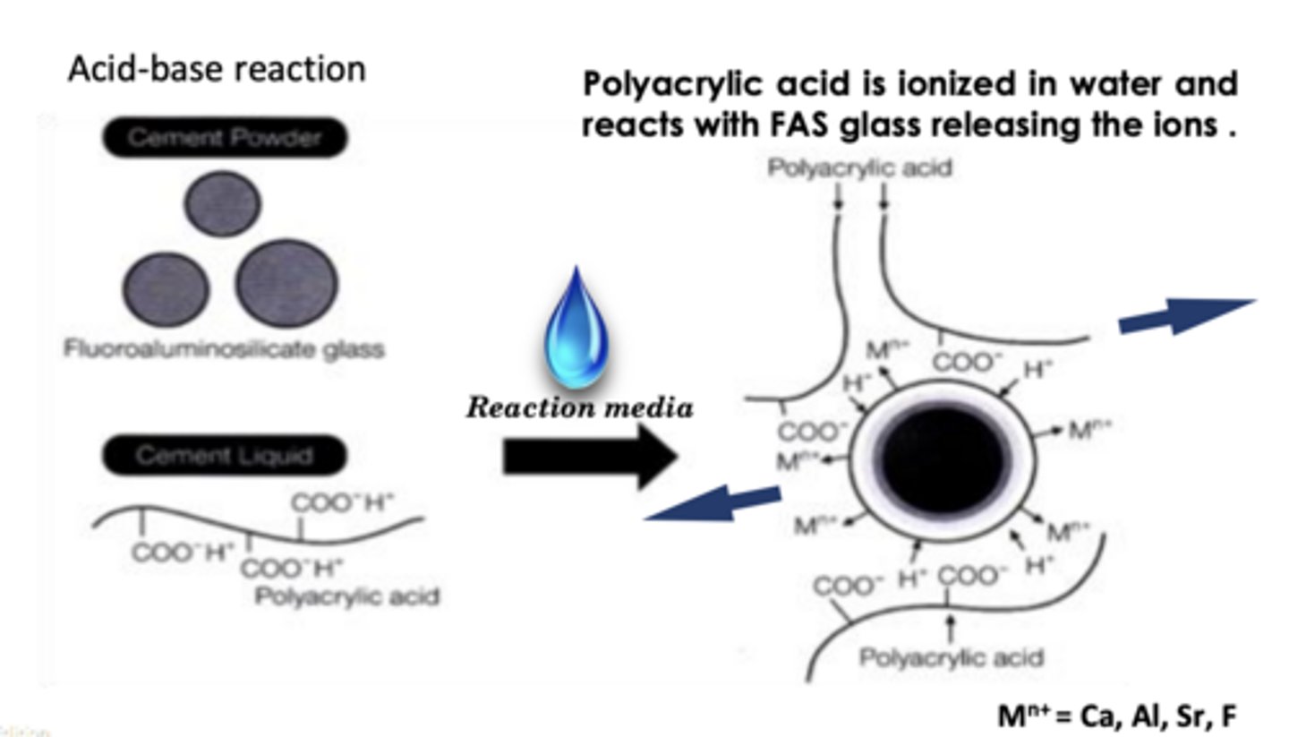 <p>Mixing FAS glass and polyacrylic acid in water-based reaction media</p>