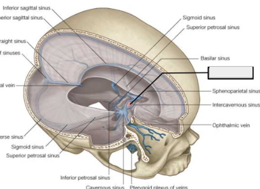 <p>what structure is that?</p>