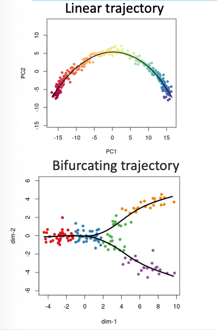 <p>-reveal gene expression dynamics across cell states</p><p>-identification of the factors triggering state transitions</p><p></p>