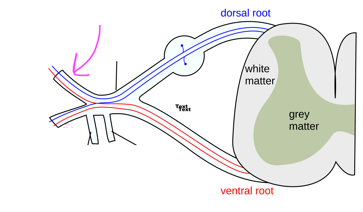 <p>What is this feature?</p>