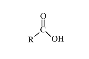 <p>Carbonyl group bonded to OH group</p>