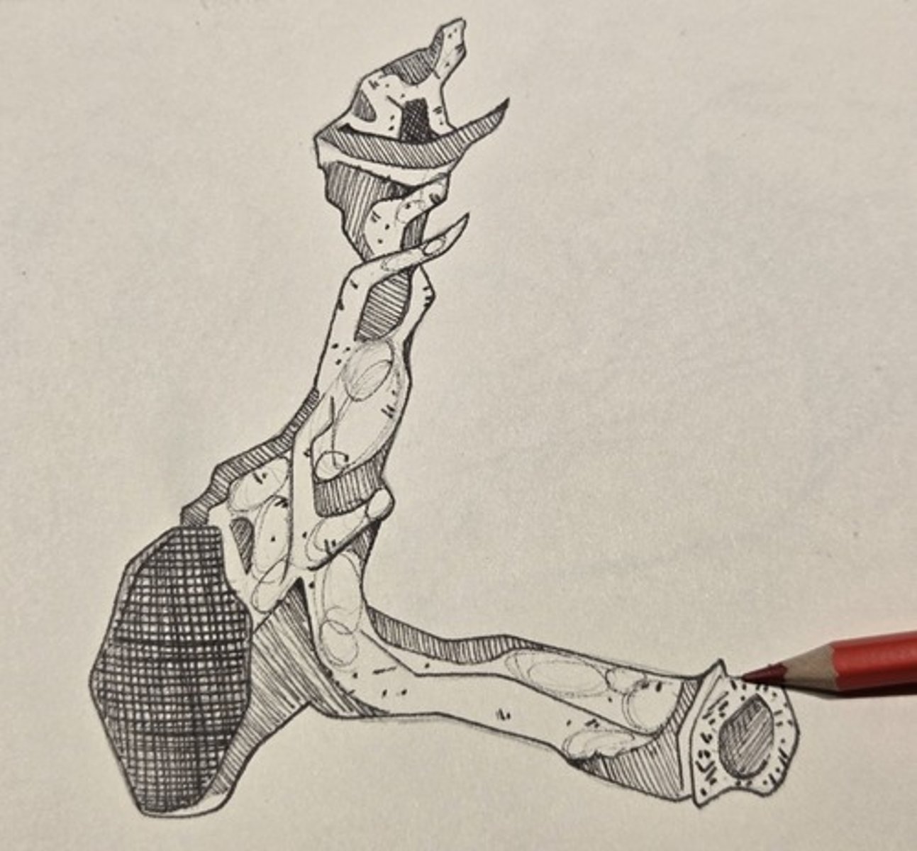 <p>pointed bony projection at the posterior end of the hard palate</p>