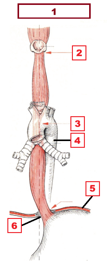 <p>4</p>