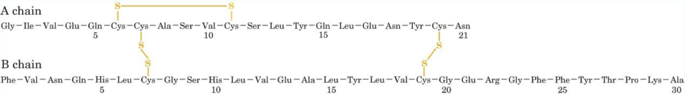<p>The <strong>amino acid sequence</strong> and <strong>all chemical modifications</strong>, including <strong>disulfide bonds</strong>.</p>