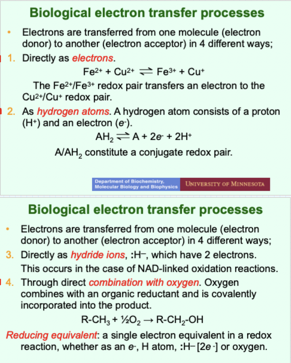 <p>One proton (H+) and one electron (e-).</p>