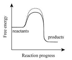 <p>Is this an endergonic or exergonic reaction?</p>