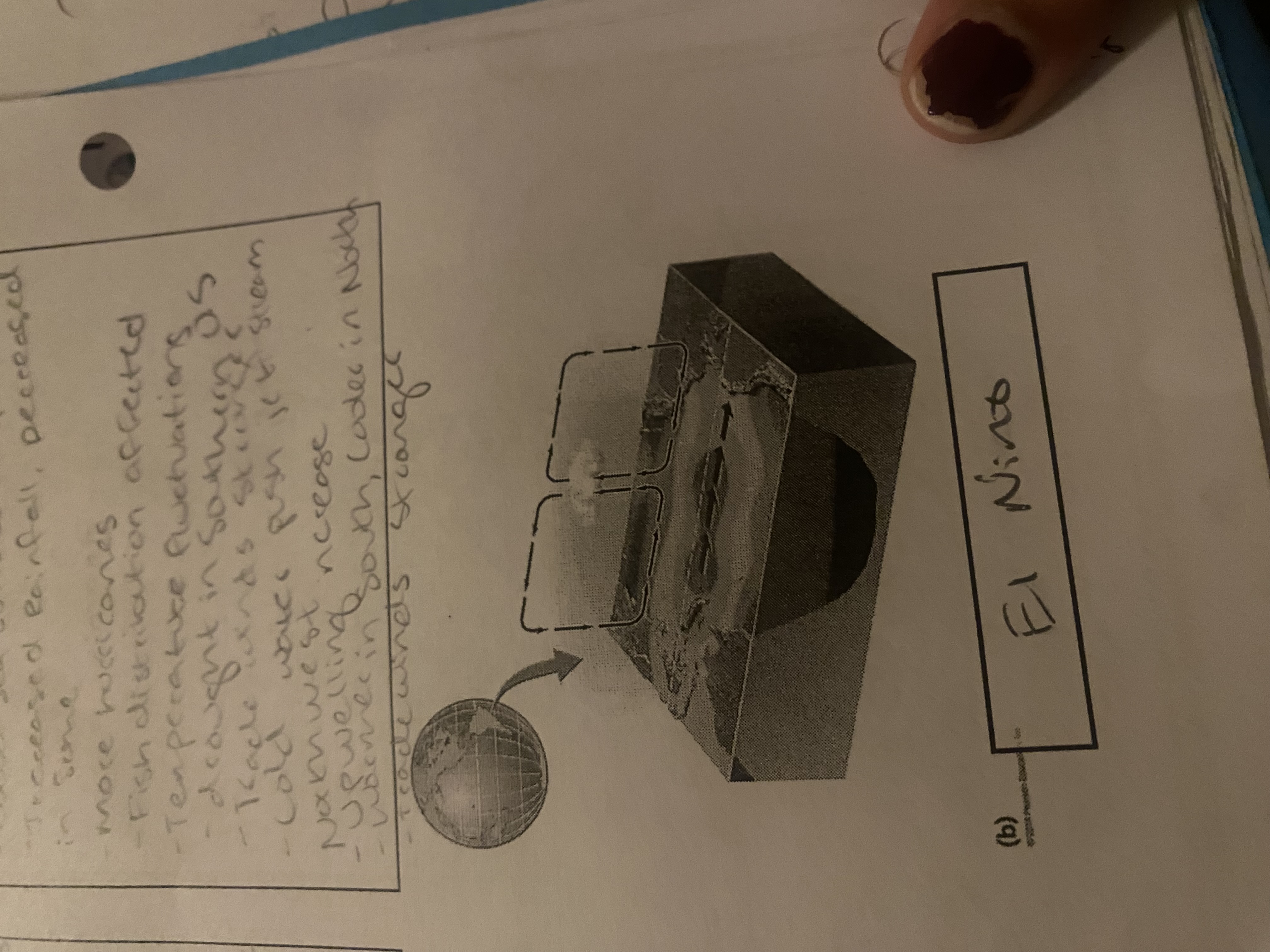 term image