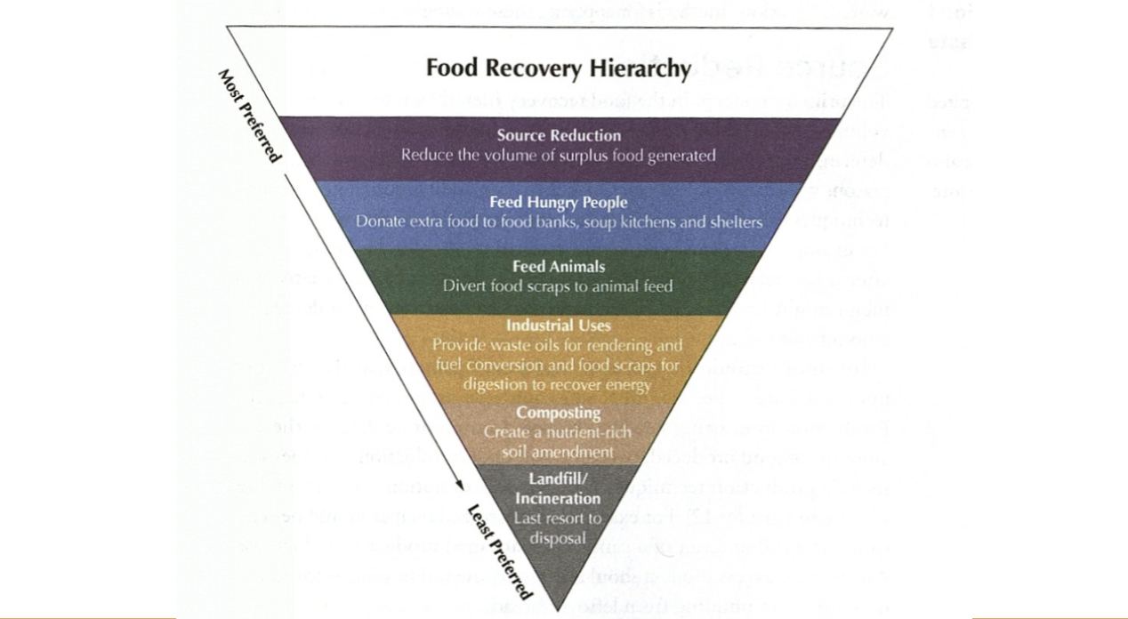 <p>Sustainable solutions for waste management:</p><ul><li><p>Recycling</p></li><li><p>Composting: (pre-consmer vs. post consumer) </p></li><li><p>Food waste conversion technology</p></li><li><p>Compostable products </p></li></ul>