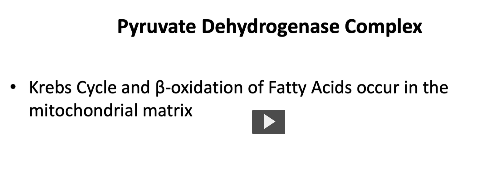 <p>whereas <strong>Kreb’s Cycle</strong> and<strong> B-oxidation of fatty acids</strong> occurs in the <strong>mitochondrial matrix</strong>.</p><ul><li><p><strong>mito-</strong> = thread (Greek <em>mitos</em>)</p></li><li><p><strong>chondrion</strong> = granule or grain</p></li><li><p><strong>matrix</strong> = womb / source / container (Latin <em>mater</em> = mother)</p></li></ul><p>So <strong>mitochondrial matrix</strong> means: <strong>the inner compartment inside the mitochondrion where important metabolic reactions occur.</strong></p>