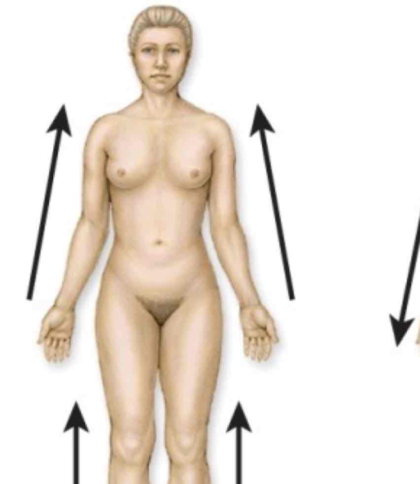 <p>Closer to attachment</p>