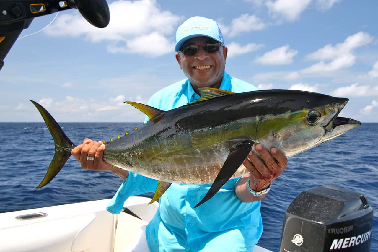 <p>lower sides have 20 ish pale vertical lines</p><p>metallic blackish/blue dorsally then yellow into silvery on sides</p><p>longer 2nd dorsal &amp; anal &amp; smaller eye</p><p>second dorsal and ana; fins tall and get taller with age</p>