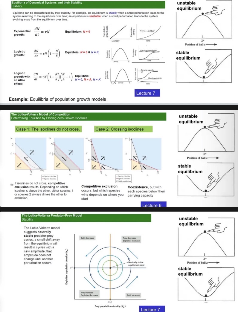 <ul><li><p>Recall: A system is at equilibrium if its rate of change is zero. A system may have more than one equilibrium.</p></li><li><p>Equilibria may be stable or unstable</p></li><li><p>Example: Equilibria of population growth models</p><ul><li><p>2 stable states (species extinct or at carrying capacity) and there is a separator between the two (the allee threshold)</p></li></ul></li><li><p>Example: Equilibria in the Lotka-Volterra model of competition</p><ul><li><p>Starting lots of species 2, few species 1, species 1 goes extinct</p></li><li><p>Starting with lots of species 1, few species 2, species 2 goes extinct</p></li></ul></li><li><p>Example: Equilibria in the Lotka-Volterra model of predation</p></li></ul><p></p>