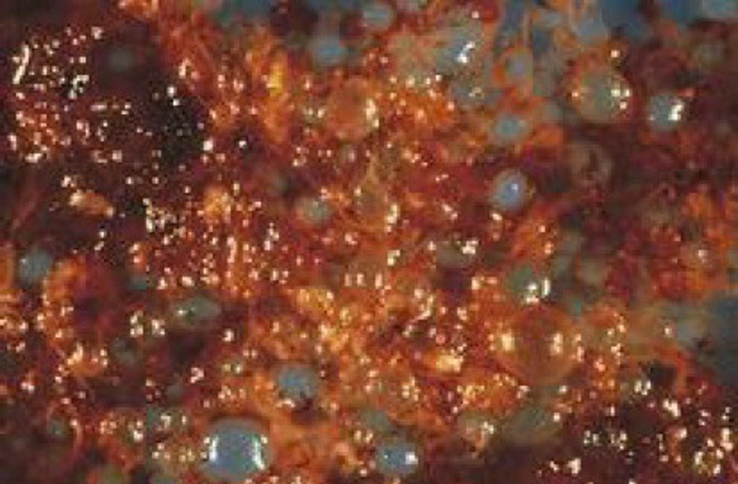 <p>Not compatible with life </p><p>- No embryo will develop </p><p>Trophoblast and syncytiotrophoblasts do develop -&gt; abnormally </p><p>= A placenta-like structure develops, where all chorionic villi are edamatous and dilated </p>