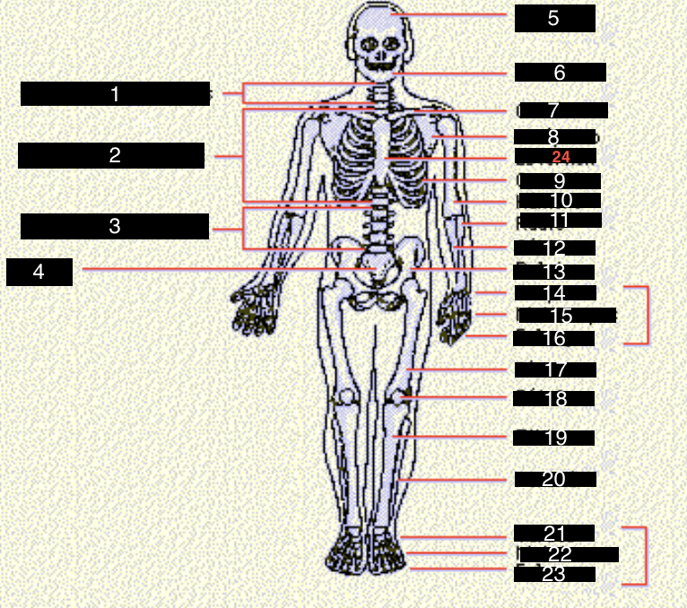<p>17</p>