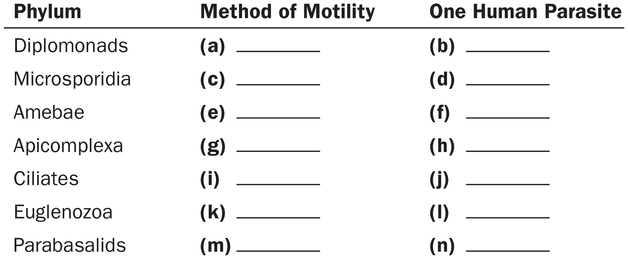 <p>For the phylum Euglenozoa, name</p><ol><li><p>Method of motility </p></li><li><p>1 human parasite</p></li></ol><p></p>