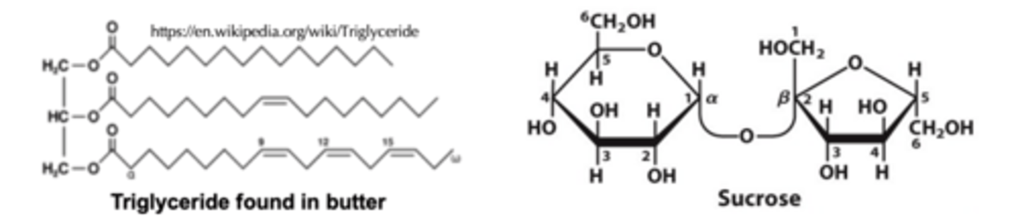 <p>- Fatty acids carry more energy per carbon because they are more reduced.</p><p>- Fatty acids are less hydrated because they are nonpolar - more compact, efficient storage.</p>